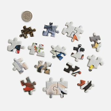 Enjoy the Clarkson Potter Sibley Backyard Bird Puzzle!