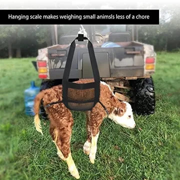 GINDOOR Calf Sling - Weighing Sling for Livestock