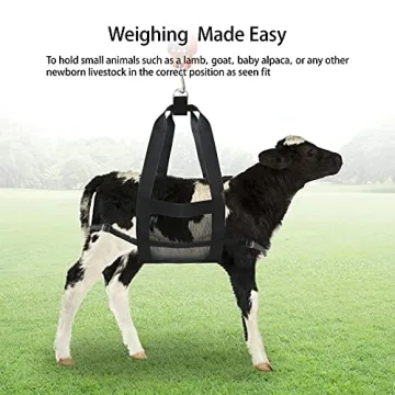 GINDOOR Calf Sling - Weighing Sling for Livestock