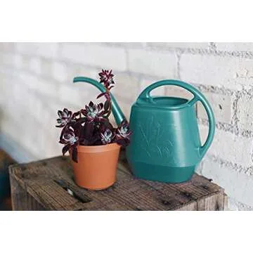 Bloem Aqua Rite Watering Can, 56 oz, Calypso (AW21-27)