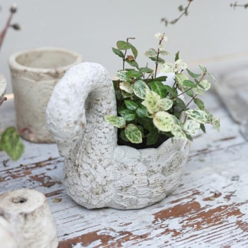 Stylish Casagiardino Swan Planter for Indoor and Outdoor