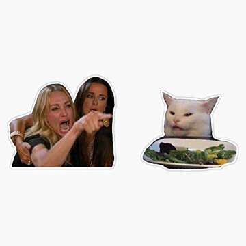 Leyland Designs Woman Yelling at A Cat Sticker Outdoor Rated Vinyl Sticker Decal for Windows, Bumper...