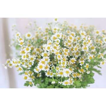 Gaea's Blessing Feverfew Seeds - Non-GMO, High Yield Heirloom