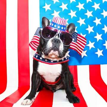 ComfortFlex Patriotic Dog Harness - Adjustable, No-Choke Fit