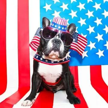 ComfortFlex Patriotic Dog Harness - Adjustable, No-Choke Fit