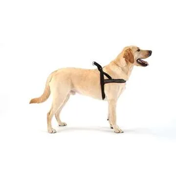 ComfortFlex Patriotic Dog Harness - Adjustable, No-Choke Fit