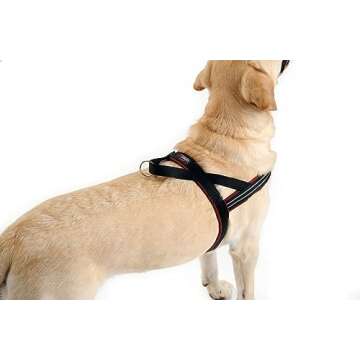 ComfortFlex Patriotic Dog Harness - Adjustable, No-Choke Fit