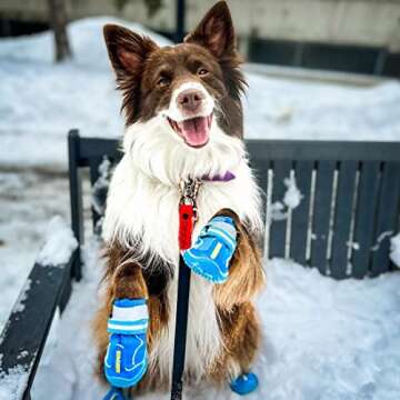 QUMY Dog Shoes for Large Dogs, Medium Dog Boots & Paw Protectors for Winter Snowy Day, Summer Hot Pavement, Waterproof in Rainy Weather, Outdoor Walking, Indoor Hardfloors Anti Slip Sole Blue 5