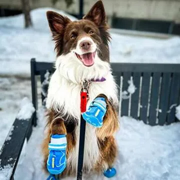 QUMY Dog Shoes for Large Dogs, Medium Dog Boots & Paw Protectors for Winter Snowy Day, Summer Hot Pavement, Waterproof in Rainy Weather, Outdoor Walking, Indoor Hardfloors Anti Slip Sole Blue 5