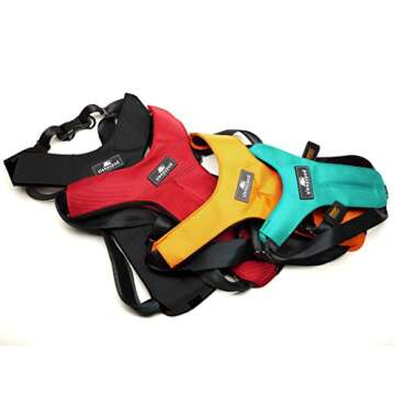 Sleepypod ClickIt Sport Crash-Tested Car Safety Dog Harness (XLarge, Strawberry Red)