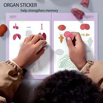 Science Can Human Anatomy Model with 15 Pieces Organs, Interactive Talking Human Body Toy for Kids, Educational Science Kits for Kids Age 6-8