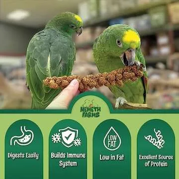 Nemeth Farms Worlds Freshest Sun-Dried Spray Millet - Non-GMO (No Stems Only Edible Tops) - Healthy Bird Treat and Supplement for All Pet Birds Parakeets Cockatiels Finches - 1lb