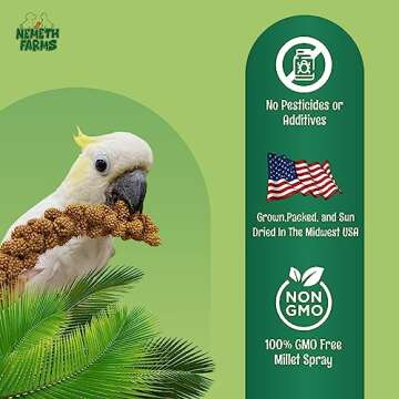 Nemeth Farms Worlds Freshest Sun-Dried Spray Millet - Non-GMO (No Stems Only Edible Tops) - Healthy Bird Treat and Supplement for All Pet Birds Parakeets Cockatiels Finches - 1lb