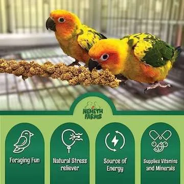 Nemeth Farms Worlds Freshest Sun-Dried Spray Millet - Non-GMO (No Stems Only Edible Tops) - Healthy Bird Treat and Supplement for All Pet Birds Parakeets Cockatiels Finches - 1lb