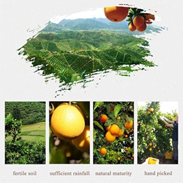 SXET Dried Orange Slices for Cocktail & Cake Garnish