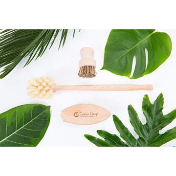 Eco-Friendly Wood and Tampico Brush Set for Kitchen