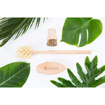 Eco-Friendly Wood and Tampico Brush Set for Kitchen