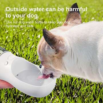 DEYACE Portable Leak Proof Dog Water Bottle for Travel