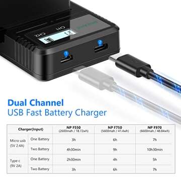 NEEWER Dual USB Fast Charger with 2 x 6600mAh NP-F970 Replacement Batteries, Compatible with Sony NP-F970 NP-F960 NP-F950 NP-F930 NP-F570 NP-F550 NP-F530 NP-F330 Battery and Sony Handycam
