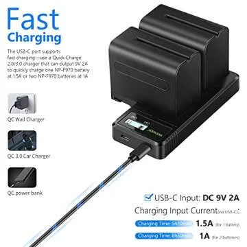 NEEWER Dual USB Fast Charger with 2 x 6600mAh NP-F970 Replacement Batteries, Compatible with Sony NP-F970 NP-F960 NP-F950 NP-F930 NP-F570 NP-F550 NP-F530 NP-F330 Battery and Sony Handycam