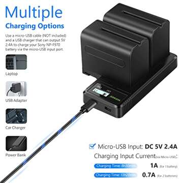 NEEWER Dual USB Fast Charger with 2 x 6600mAh NP-F970 Replacement Batteries, Compatible with Sony NP-F970 NP-F960 NP-F950 NP-F930 NP-F570 NP-F550 NP-F530 NP-F330 Battery and Sony Handycam