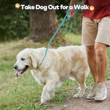 Reflective Grand Line Slip Lead Leash for All Dogs