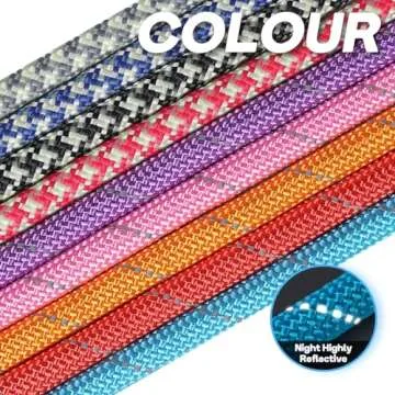 Reflective Grand Line Slip Lead Leash for All Dogs