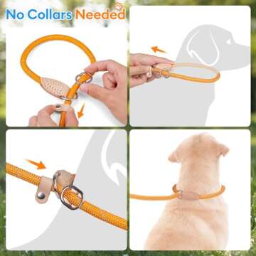 Reflective Grand Line Slip Lead Leash for All Dogs