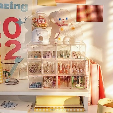 Nicunom Sunglasses Organizer with 4 Drawers in Acrylic