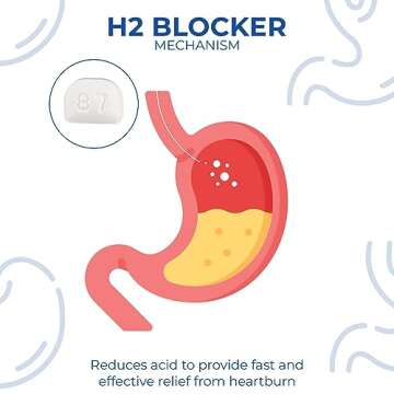 Timely Acid Reducer Famotidine 20mg - 200 Tablets - Compared to the active ingredient in Maximum Strength Pepcid AC - Effective Heartburn Relief for Adults & Children 12 Years & Over