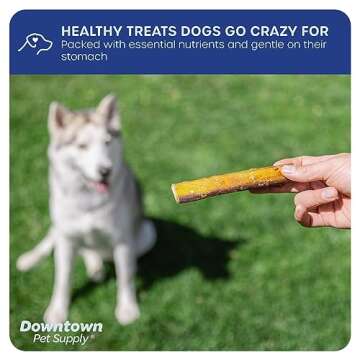 Downtown Pet Supply Bully Sticks for Dogs (6", 5-Pack, Jumbo) Non-GMO, Grain Free, Rawhide Free Dog Chews Long Lasting Pizzle Sticks - Low Odor Bully Sticks for Large Dogs