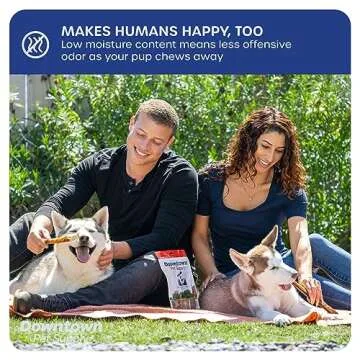 Downtown Pet Supply Bully Sticks for Dogs (6", 5-Pack, Jumbo) Non-GMO, Grain Free, Rawhide Free Dog Chews Long Lasting Pizzle Sticks - Low Odor Bully Sticks for Large Dogs