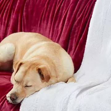 Genteele Sherpa Throw Blanket Super Soft Reversible Ultra Luxurious Plush Blanket, 50 x 60 inches, Rich Burgundy Red/White