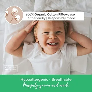 Organic Cotton Toddler Pillow with Case for Sleeping