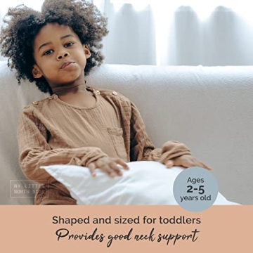 Organic Cotton Toddler Pillow with Case for Sleeping