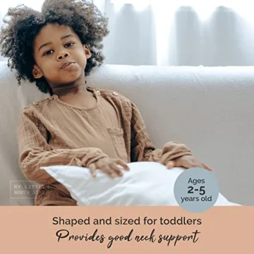 Organic Cotton Toddler Pillow with Case for Sleeping