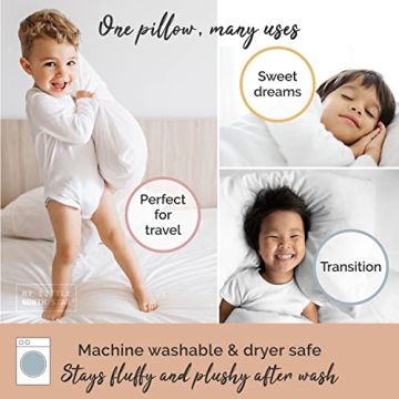 Organic Cotton Toddler Pillow with Case for Sleeping