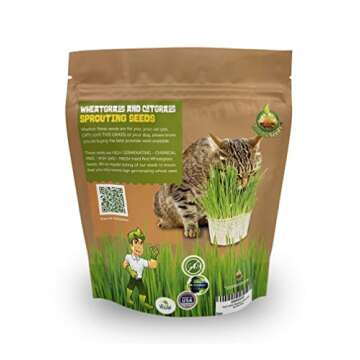 Todd's Seeds - 1 Pound of Non-GMO Wheatgrass Seeds - Perfect for Cats & Health Enthusiasts