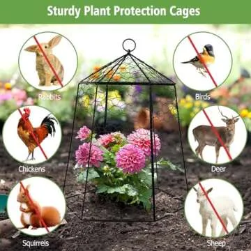 Budiwati Large Plant Protection Cage for Garden Plants