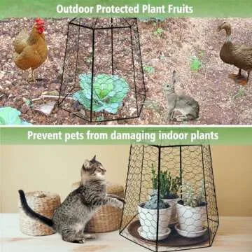 Budiwati Large Plant Protection Cage for Garden Plants