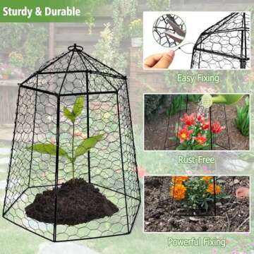 Budiwati Large Plant Protection Cage for Garden Plants