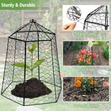 Budiwati Large Plant Protection Cage for Garden Plants