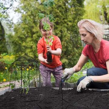 Budiwati Large Plant Protection Cage for Garden Plants