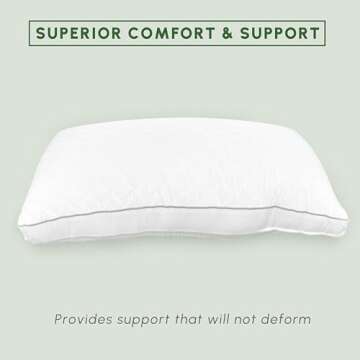 Elegant Comfort Set of 2 Luxurious Supportive Pillows