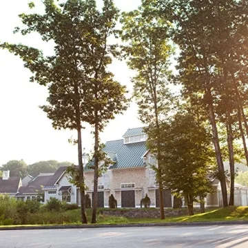 Stonewall Kitchen Pomegranate Cosmo Mixer 24 Ounces