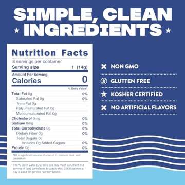 HTeaO Iced Tea Sachets - Blueberry Green Tea Mix for Instant Ice Tea - 8 Gallons Per Package - Real ...