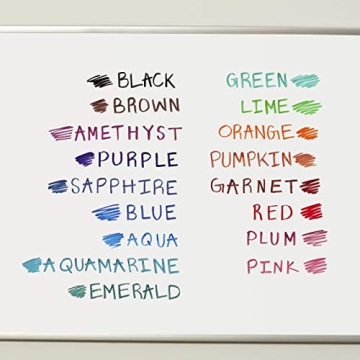 Vibrant EXPO Dry Erase Markers Set for All Needs