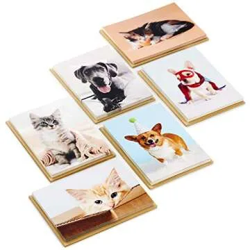 Hallmark Blank Cards Assortment, Dog and Cat Photos (36 Assorted Note Cards with Envelopes)