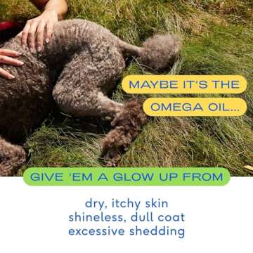 Native Pet Omega Oil for Dogs & Beef Bone Broth Food Topper