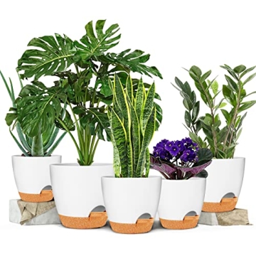 Stylish Self-Watering Plant Pots for Thriving Greenery